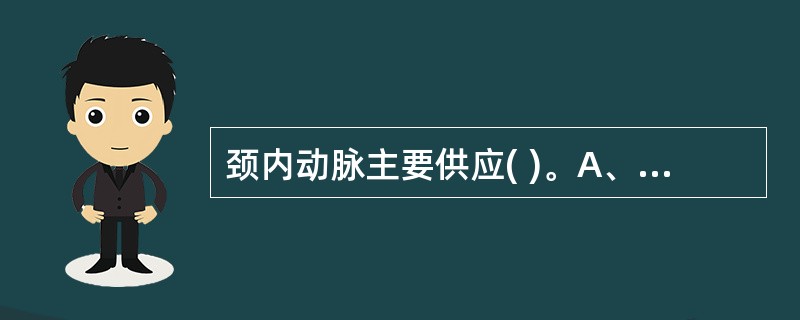 颈内动脉主要供应( )。A、小脑B、大脑半球前2£¯5C、间脑D、脑干E、以上均