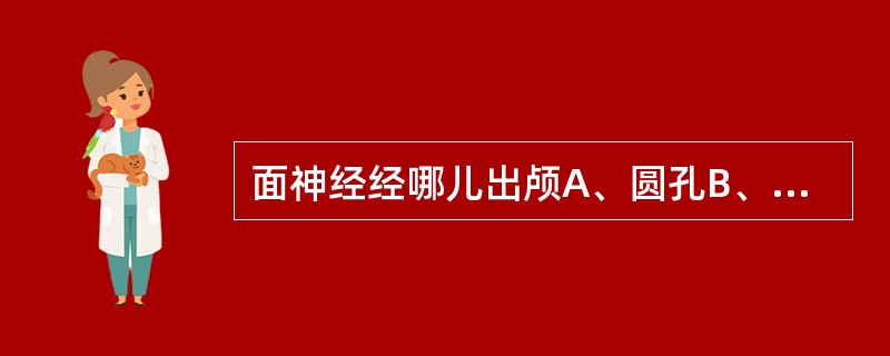 面神经经哪儿出颅A、圆孔B、卵圆孔C、眶下裂D、棘孔E、茎乳孔