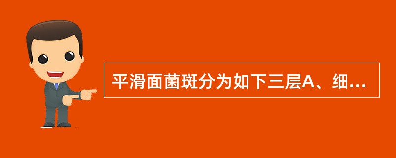 平滑面菌斑分为如下三层A、细菌层、间质层、菌斑表层B、菌斑£­牙界面、中间层、菌