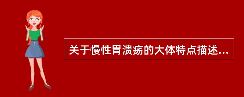 关于慢性胃溃疡的大体特点描述，错误的是A、常为单个，溃疡直径多在5cm以上B、溃