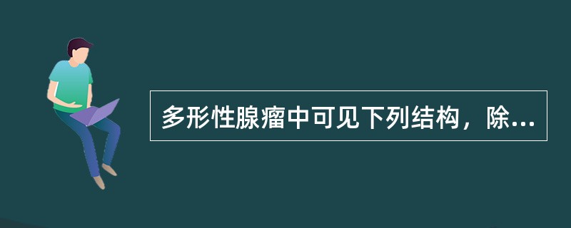 多形性腺瘤中可见下列结构，除了A、腺管B、肌上皮结构C、筛孔样结构D、鳞状上皮化
