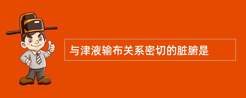 与津液输布关系密切的脏腑是