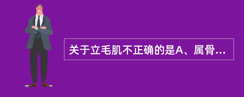 关于立毛肌不正确的是A、属骨骼肌B、属平滑肌C、一端附着于真皮乳头D、一端附着于