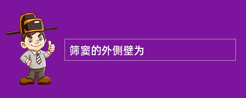 筛窦的外侧壁为