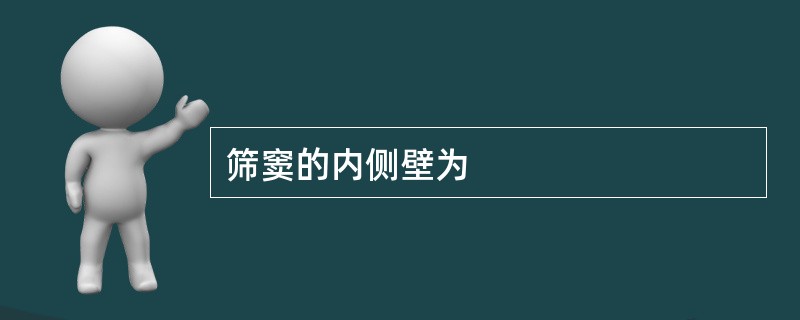 筛窦的内侧壁为