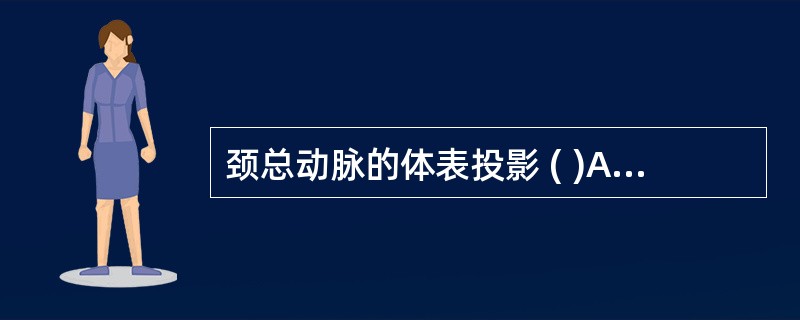 颈总动脉的体表投影 ( )A、自胸锁关节，沿胸锁乳突肌前缘向上至乳突尖连线B、自