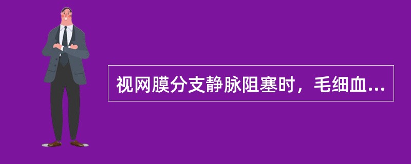 视网膜分支静脉阻塞时，毛细血管无灌注区大于多少时可产生新生血管A、12个视盘面积