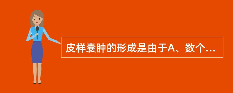 皮样囊肿的形成是由于A、数个皮脂腺囊肿融合而成B、胚胎发育过程中皮脂腺和汗腺发育