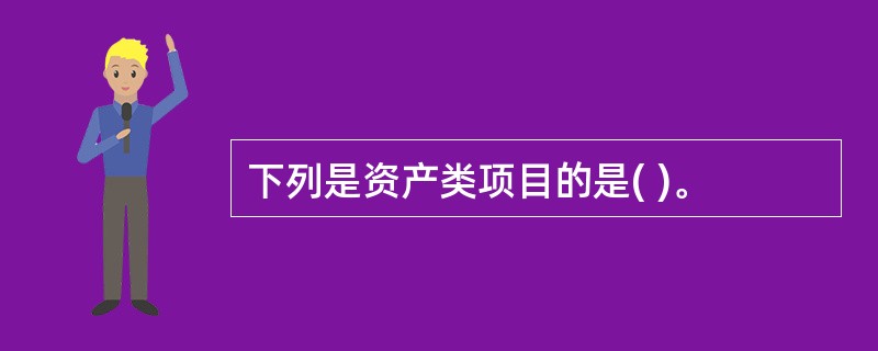 下列是资产类项目的是( )。