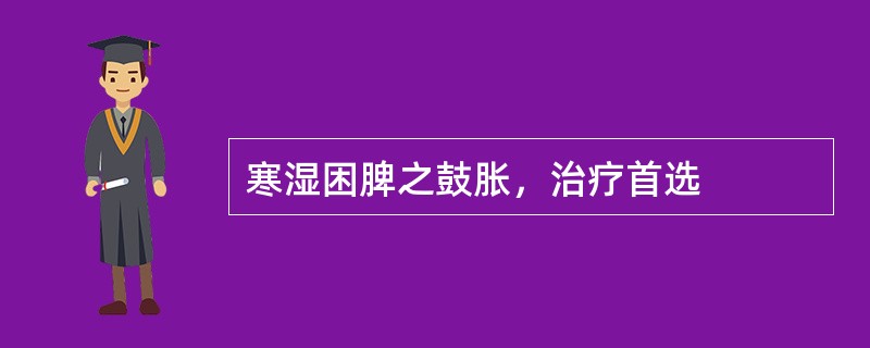 寒湿困脾之鼓胀，治疗首选