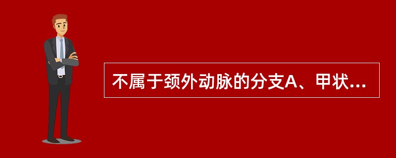 不属于颈外动脉的分支A、甲状腺上动脉B、甲状腺下动脉C、面动脉D、舌动脉E、颞浅