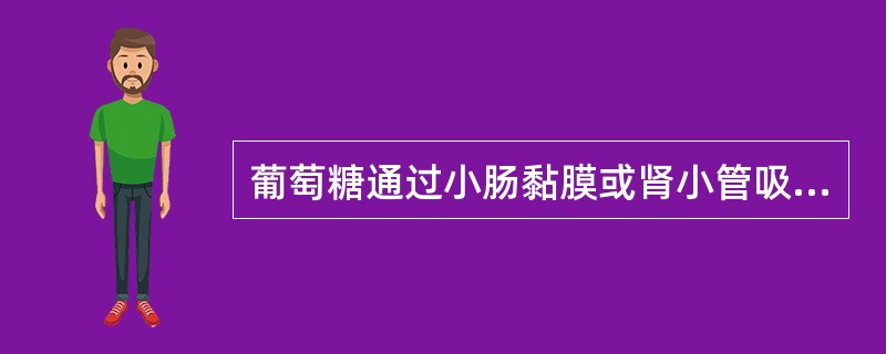 葡萄糖通过小肠黏膜或肾小管吸收属于( )。A、经载体易化扩散B、单纯扩散C、继发