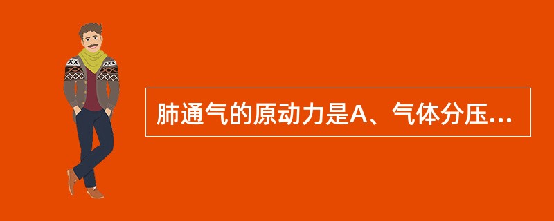 肺通气的原动力是A、气体分压大小B、肺内压变化C、胸廓的节律性呼吸运动D、胸膜腔