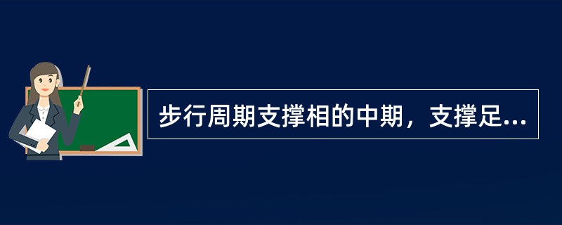 步行周期支撑相的中期，支撑足全部着地，对侧足处于摆动相，参与的肌肉主要为A、腓肠