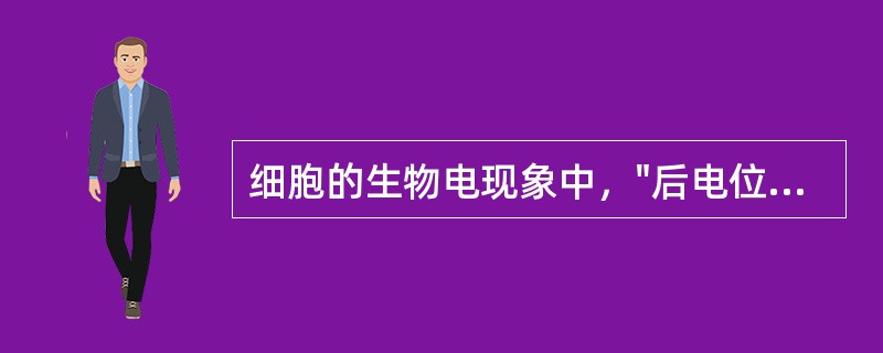 细胞的生物电现象中，"后电位中，再出现一段延续更长的缓慢波动"是指