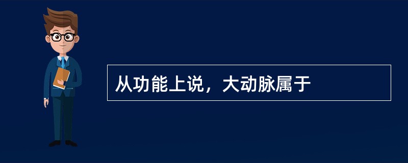 从功能上说，大动脉属于