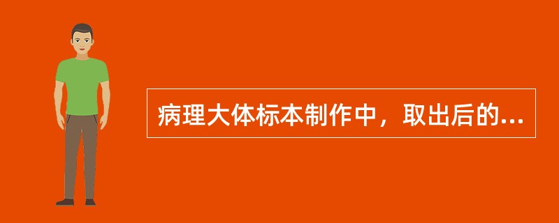 病理大体标本制作中，取出后的标本应及时固定，如果当时没有合适的固定液，可以应用的