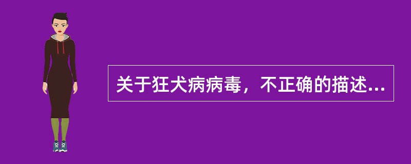 关于狂犬病病毒，不正确的描述是( )。A、可通过虫媒传播B、在中枢神经细胞胞质内