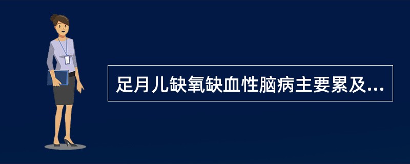 足月儿缺氧缺血性脑病主要累及A、脑实质、矢状窦旁区B、脑皮质、矢状窦旁区C、脑室