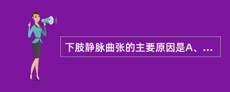 下肢静脉曲张的主要原因是A、心脏功能不全B、静脉瓣膜破坏C、下肢肌肉收缩减退D、