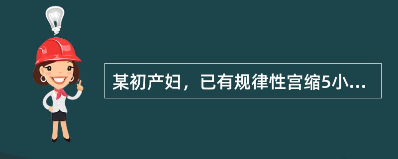 某初产妇，已有规律性宫缩5小时，值班护士正在认真观察先露下降情况，胎先露下降程度