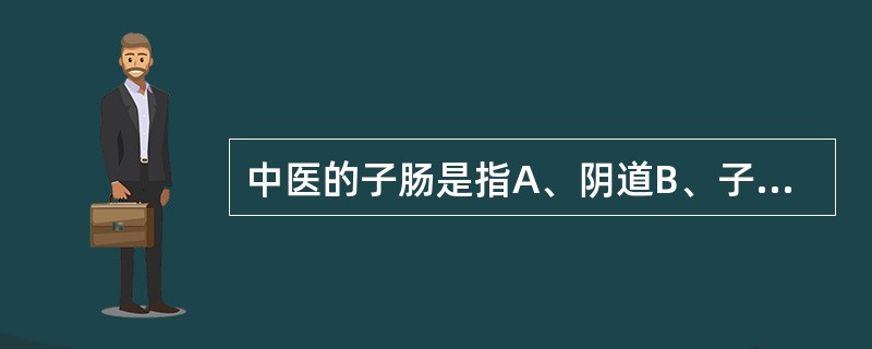 中医的子肠是指A、阴道B、子宫C、子宫口D、输卵管E、卵巢