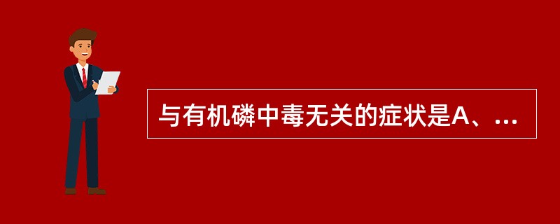 与有机磷中毒无关的症状是A、肌肉颤动B、多汗C、瞳孔缩小D、呕吐物有酸酵味E、流