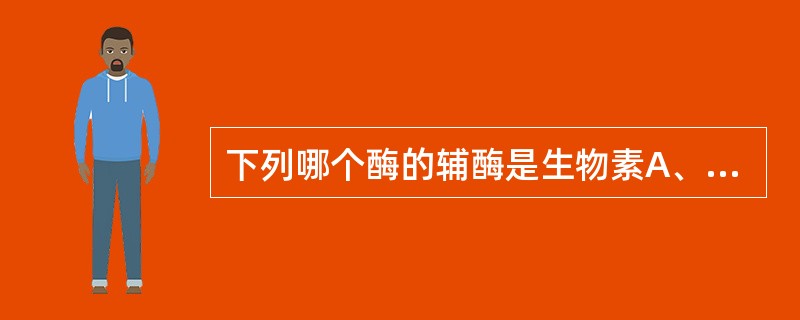 下列哪个酶的辅酶是生物素A、丙酮酸激酶B、丙酮酸羧化酶C、丙酮酸脱氢酶D、丙酮酸