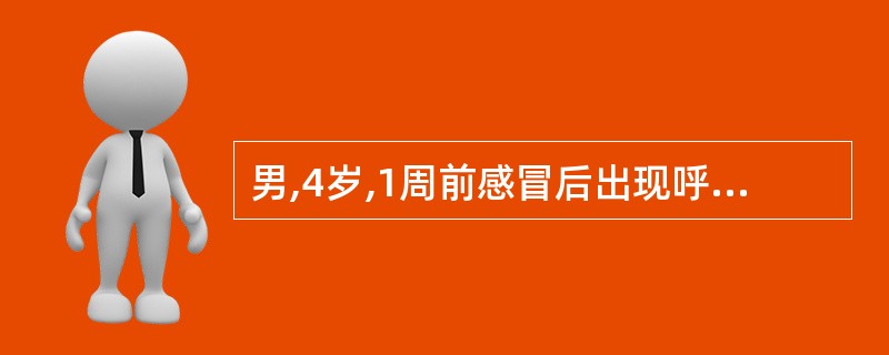 男,4岁,1周前感冒后出现呼吸粗重,伴张口呼吸,睡眠时打鼾,对此患儿不恰当的检查