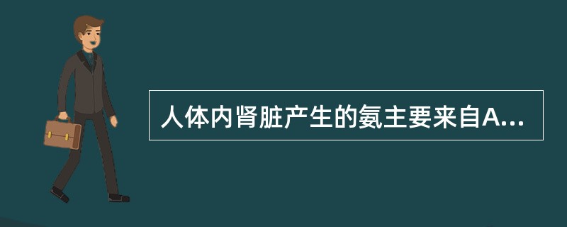 人体内肾脏产生的氨主要来自A、谷氨酰胺的水解B、尿素的水解C、氨基酸的非氧化脱氨