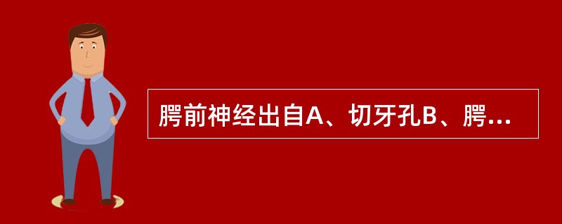 腭前神经出自A、切牙孔B、腭大孔C、腭后孔D、腭小孔E、眶下孔