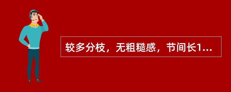 较多分枝，无粗糙感，节间长1.5~ 3cm，鳞叶裂片2（稀3），髓部近圆形的药材