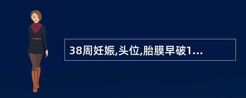 38周妊娠,头位,胎膜早破12小时,正确的处理是