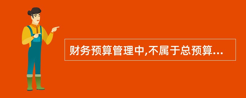 财务预算管理中,不属于总预算内容的是( )。