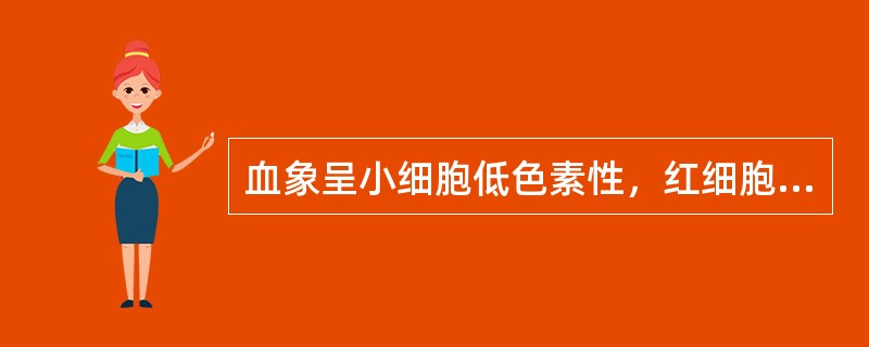 血象呈小细胞低色素性，红细胞体积（MCV）＜80fl，是