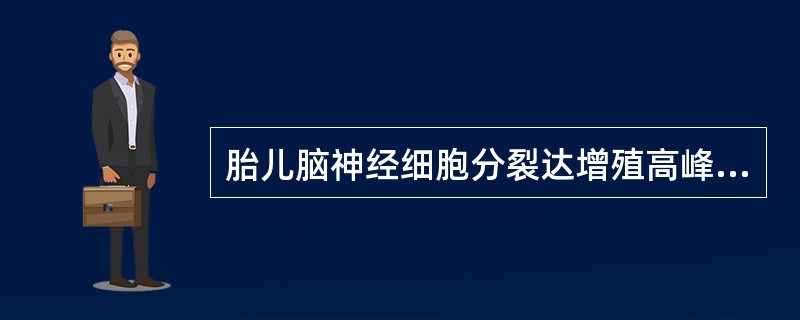 胎儿脑神经细胞分裂达增殖高峰是在孕A、10周以内B、11～13周C、26周～出生