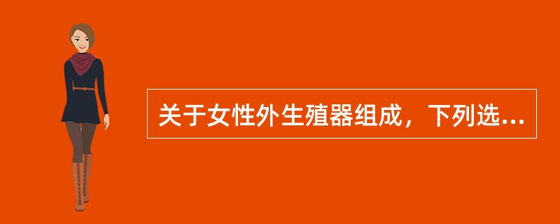 关于女性外生殖器组成，下列选项完全正确的是A、乳房、阴阜、大阴唇、小阴唇B、子宫