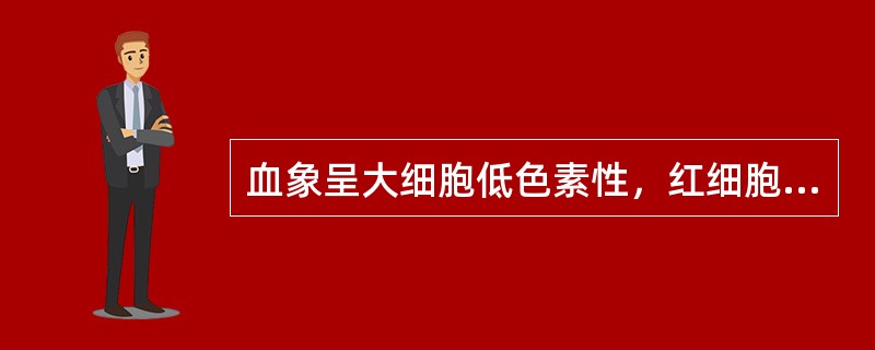 血象呈大细胞低色素性，红细胞容积（MCV）＞94fl，是