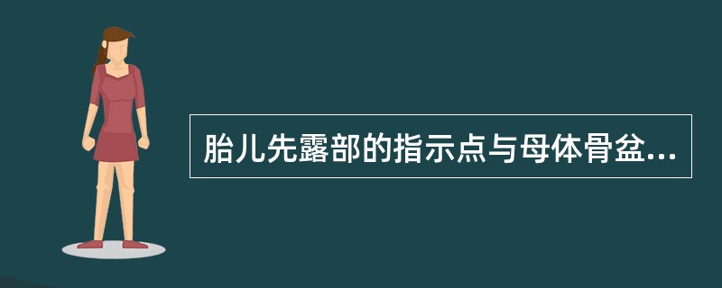 胎儿先露部的指示点与母体骨盆的关系称为