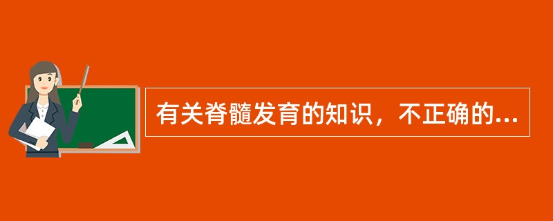 有关脊髓发育的知识，不正确的是A、出生时重2～6gB、出生时较成熟C、脊髓的发育
