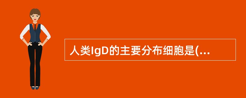 人类IgD的主要分布细胞是( )A、T细胞B、初始B细胞C、未成熟B细胞D、活化