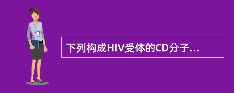 下列构成HIV受体的CD分子为A、CD3B、CD4C、CD8D、CD21E、CD