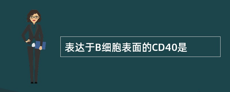 表达于B细胞表面的CD40是