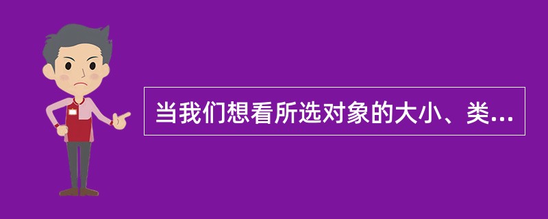 当我们想看所选对象的大小、类型等信息时,可以选择哪种查看方式