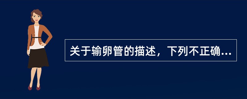 关于输卵管的描述，下列不正确的是A、为卵子与精子相遇的场所B、内侧与子宫角相连通