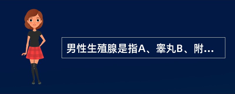 男性生殖腺是指A、睾丸B、附睾C、精囊腺D、前列腺E、尿道球腺