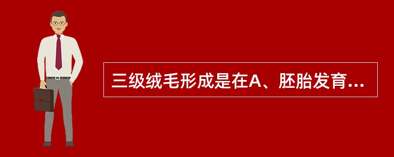 三级绒毛形成是在A、胚胎发育至第一周末B、胚胎发育至第二周末或第三周初C、胚胎发