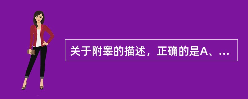 关于附睾的描述，正确的是A、为男性生殖腺B、是男性附属腺体之一C、附睾位于睾丸的