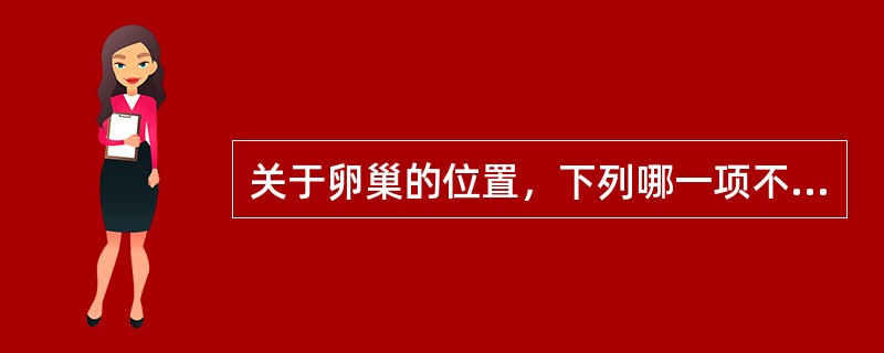 关于卵巢的位置，下列哪一项不正确A、在子宫两侧B、位于卵巢窝内C、内侧面多与小肠