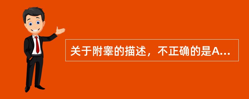 关于附睾的描述，不正确的是A、附睾位于阴囊内B、分头、体、尾三部C、附睾头由睾丸